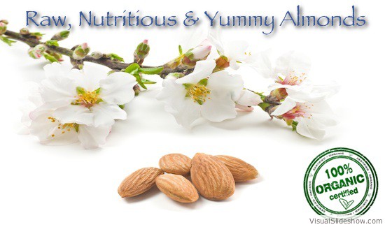 slider_almonds_550_325_organiclogo_text