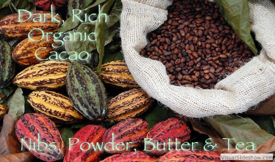 slider_cacao_550_325-text
